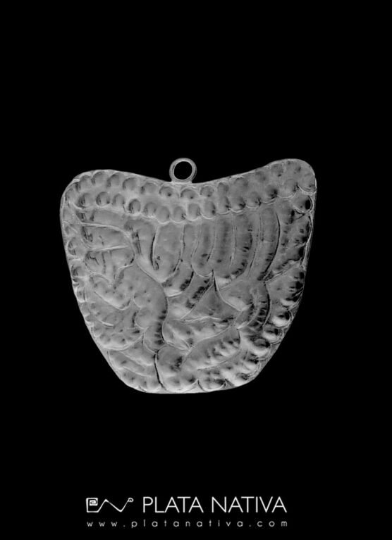 intestino